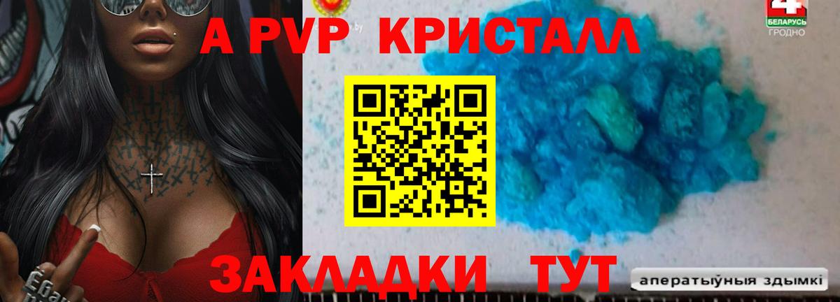 APVP СК Сегежа