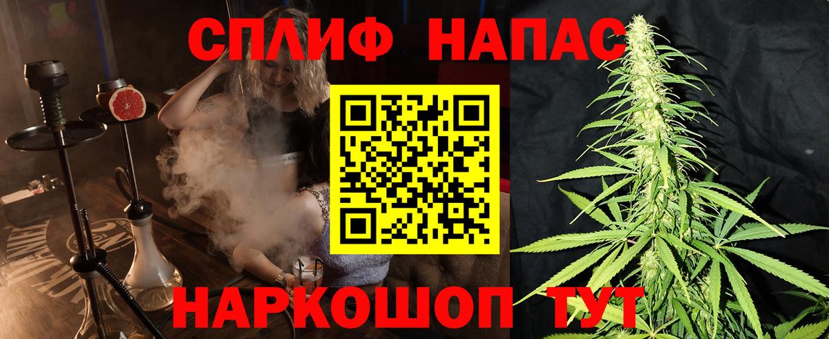 Бошки Шишки сатива Сегежа